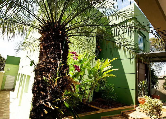 Natureza Na Cidade